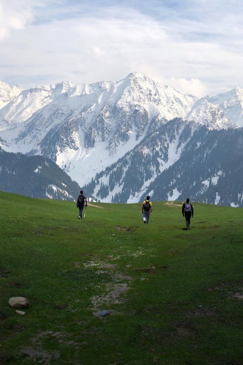 People Walking on Green Grass Field with Backpacks