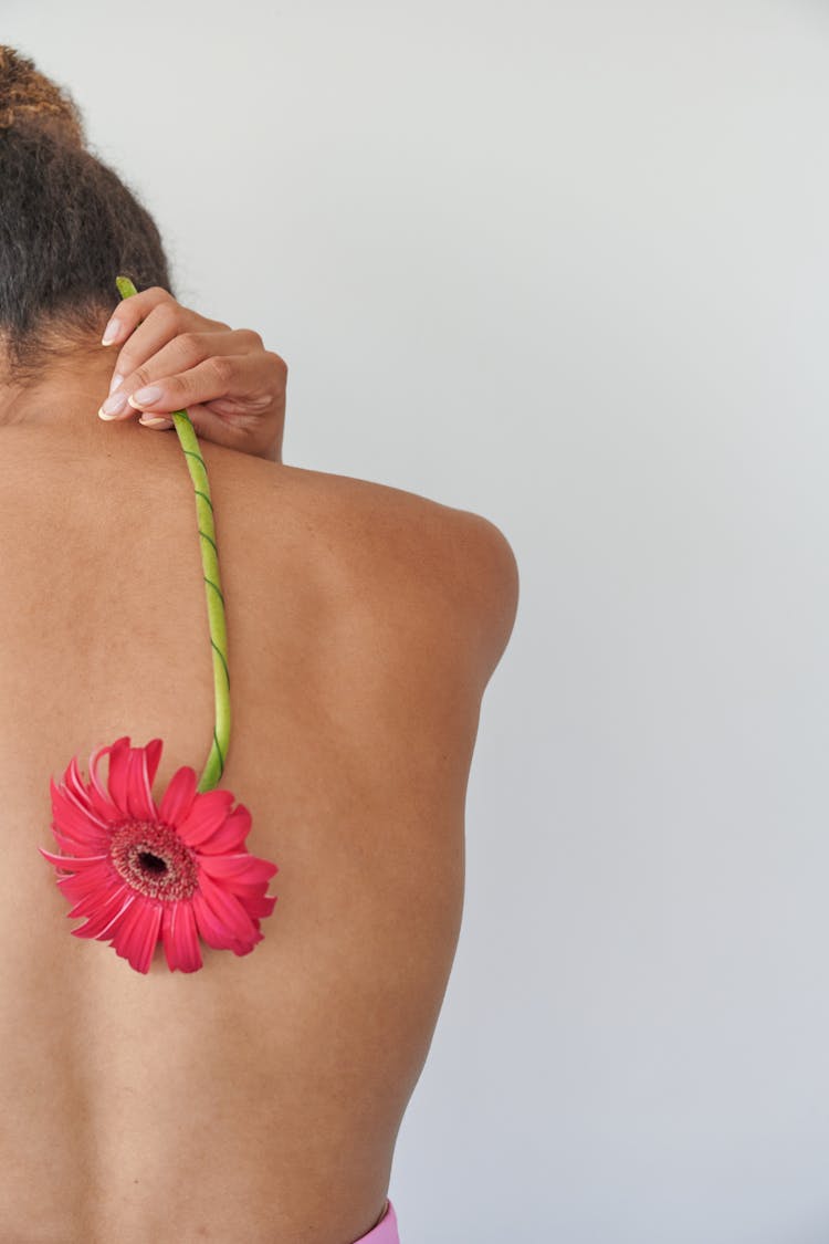 Back View Naked Woman Holding Pink Gerbera Flower