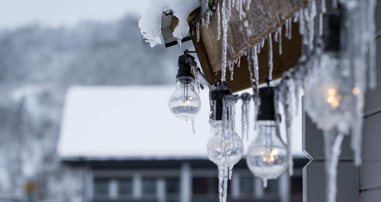 Kostnadsfri bild av dagtid, frost, fryst