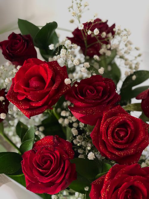 Bouquet of blooming red and white flowers with green foliage in light room