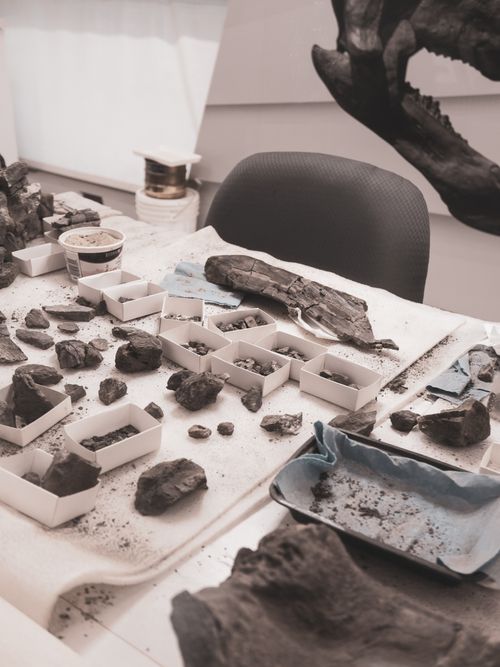 Desk Rocks Photos, Download The BEST Free Desk Rocks Stock Photos & HD ...
