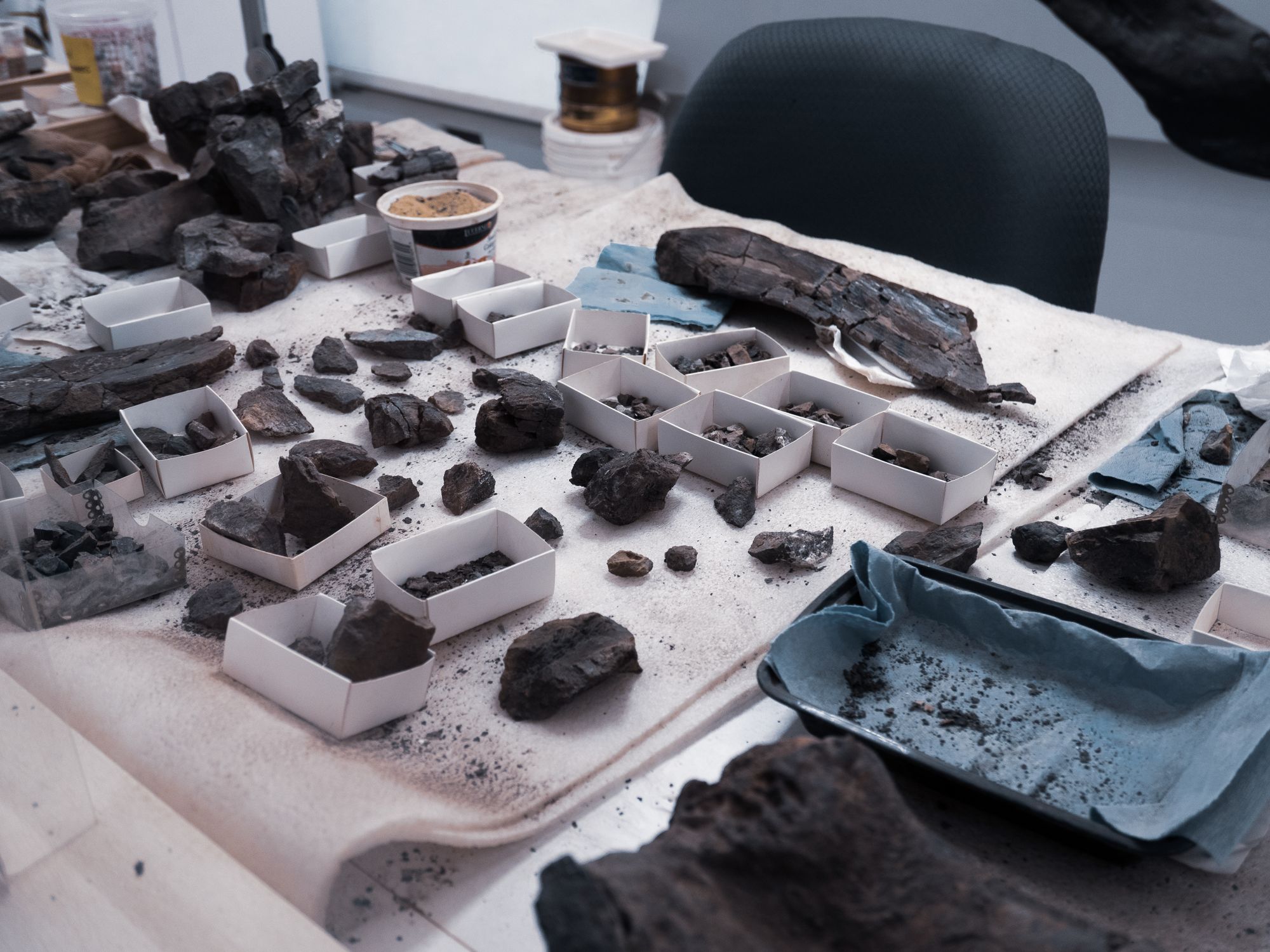How to Fake a Fossil: Palaeontologists Reveal the Surprisingly Simple Method