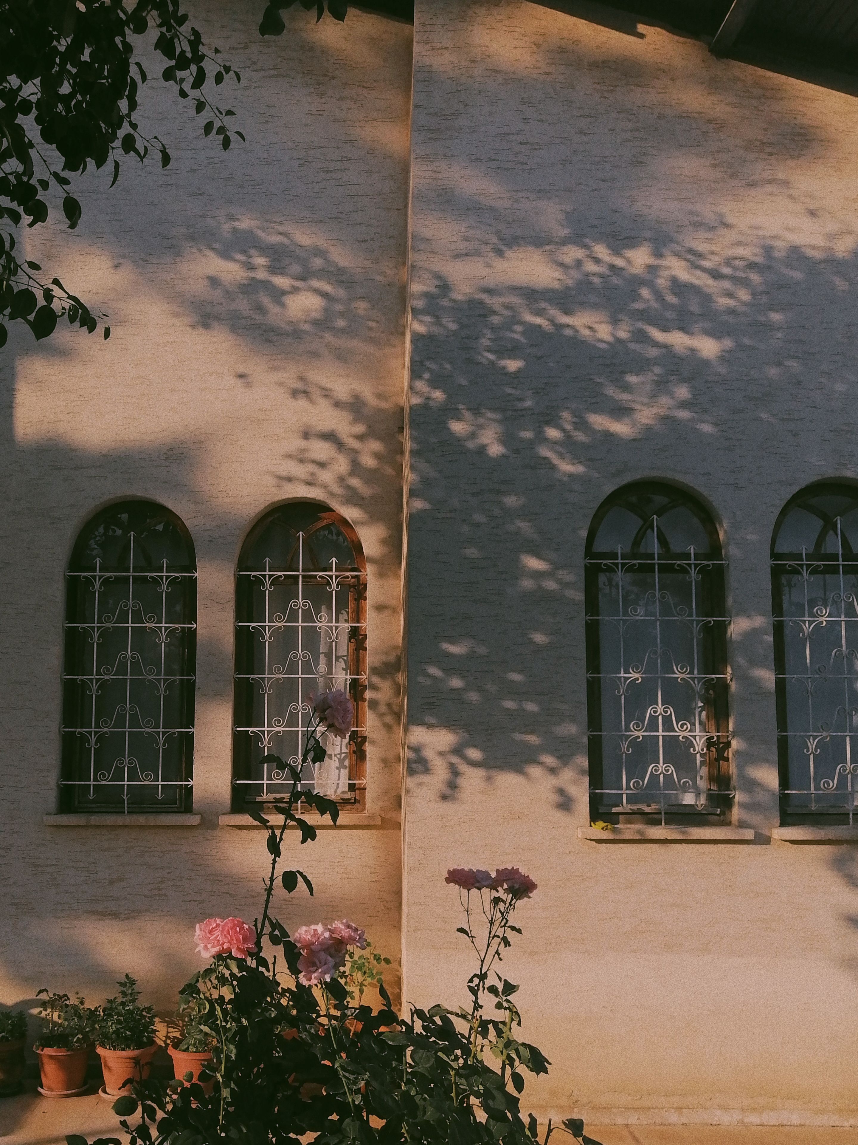 Shadows on the Wall of a Building · Free Stock Photo