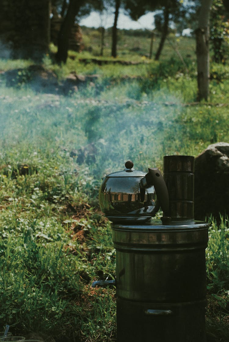 Metal Kettle With Vapour In Meadow