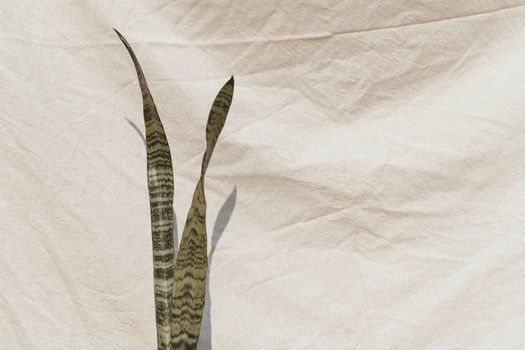 Klares Design mit Schatten & Weiß – Minimalistisch
