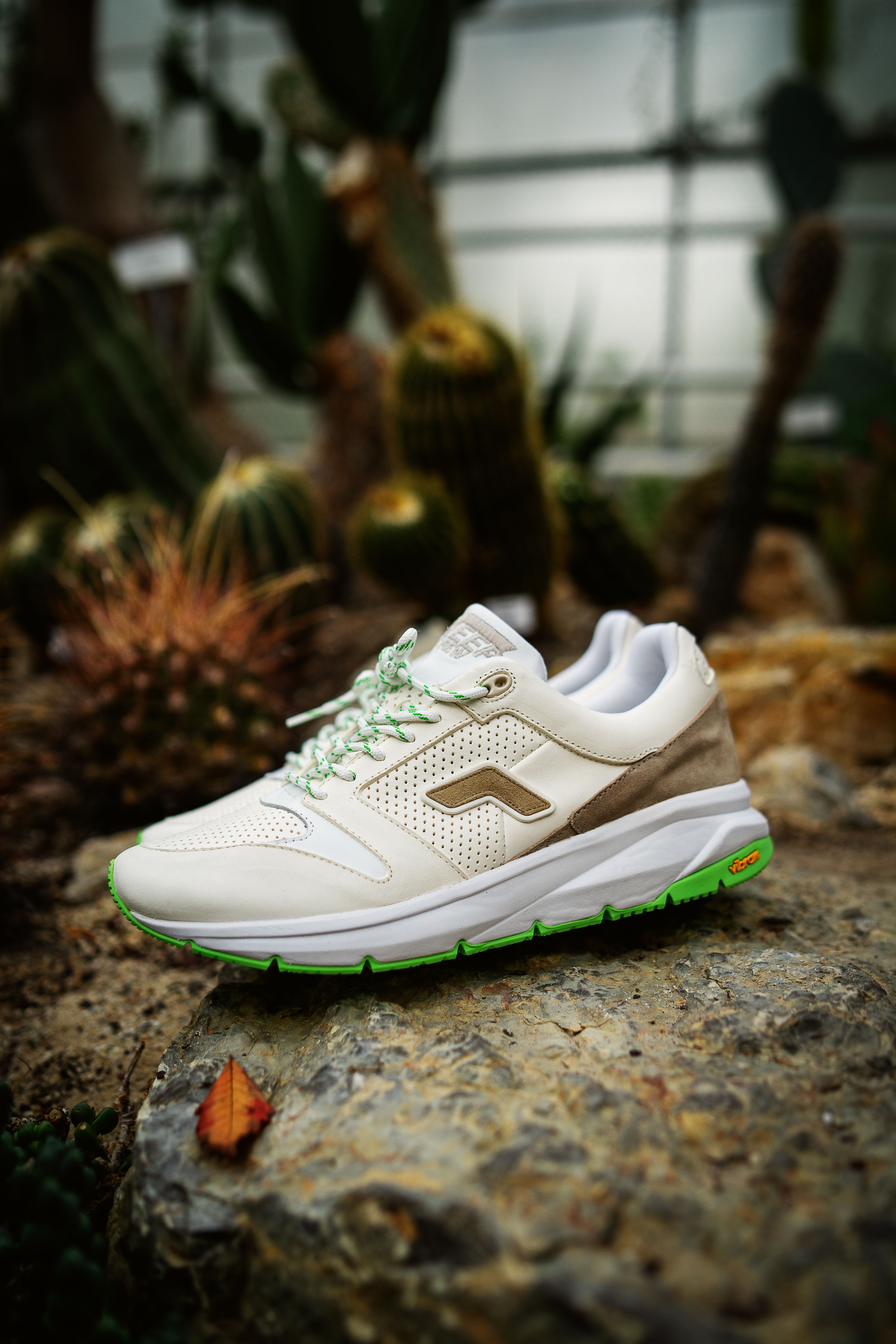 White sports shoe placed on rocky terrain with cacti in background.