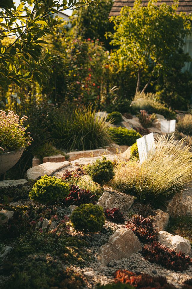 Angelegter Garten mit vielfältiger Bepflanzung im warmen Licht