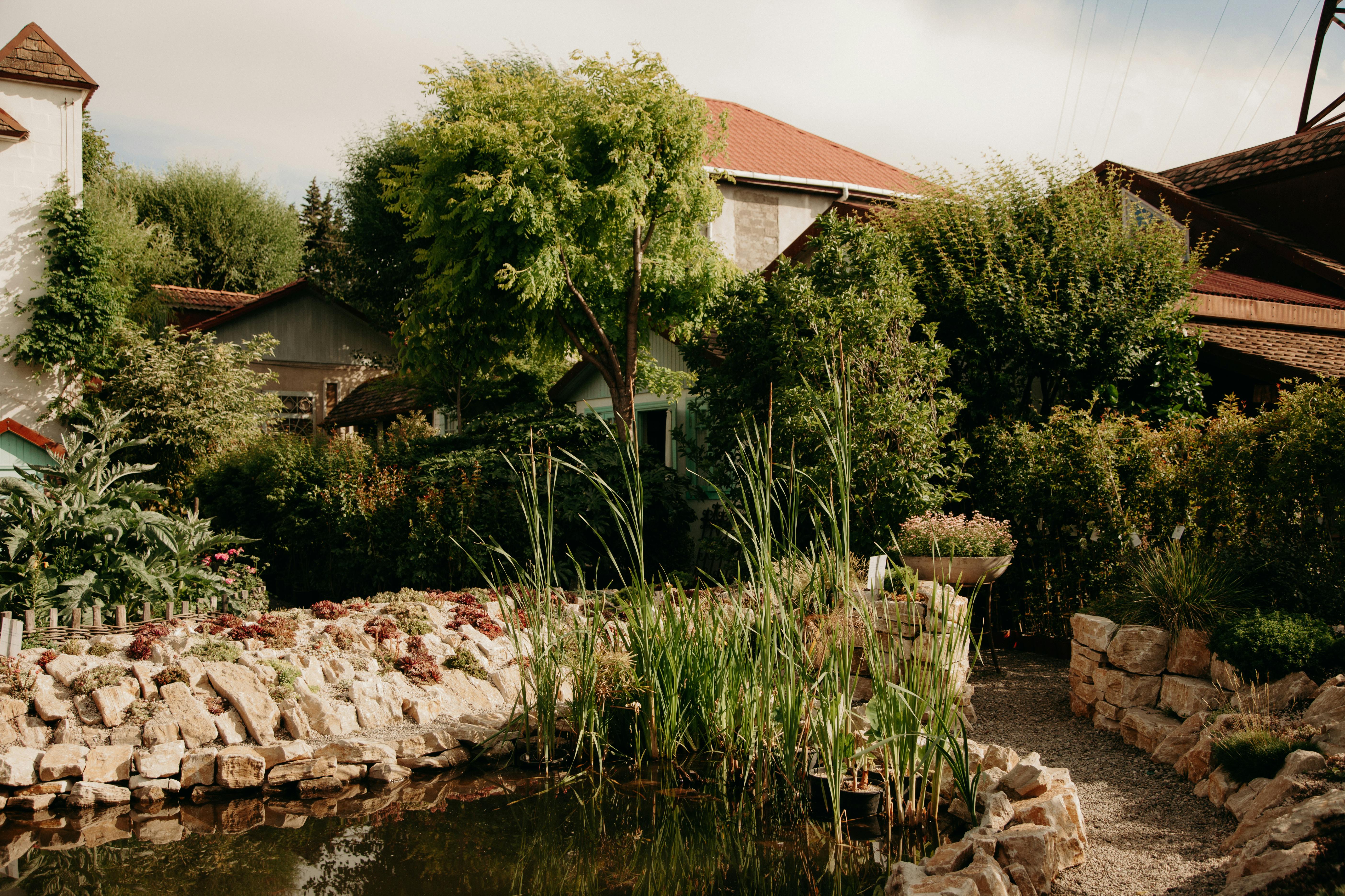 Charming garden scene featuring a peaceful pond surrounded by vibrant greenery and rustic architecture.
