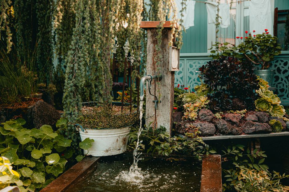 Photo by ROMAN ODINTSOV on Pexels Lush garden setting with flowing water faucet and abundant greenery creating tranquility.
