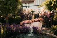 Pink Flowers Near Fountain