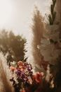 White and Pink Flowers