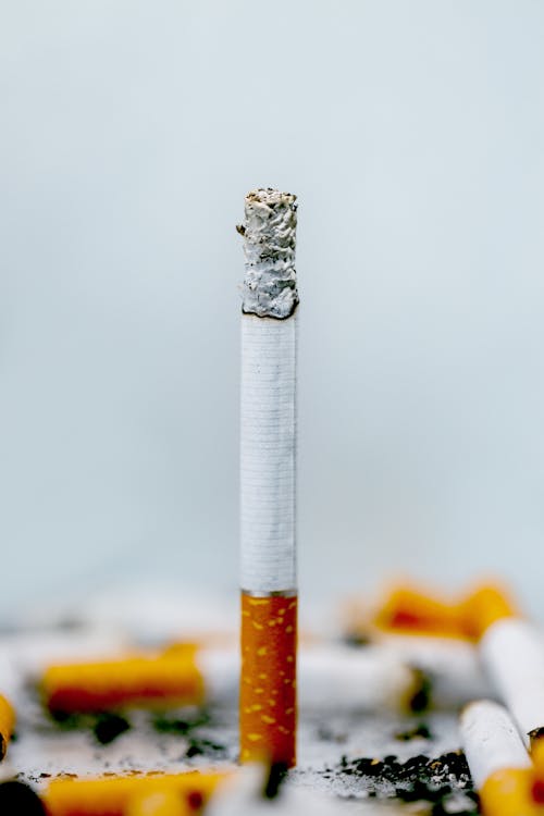 Free Close-Up Shot of a Cigarette Stock Photo