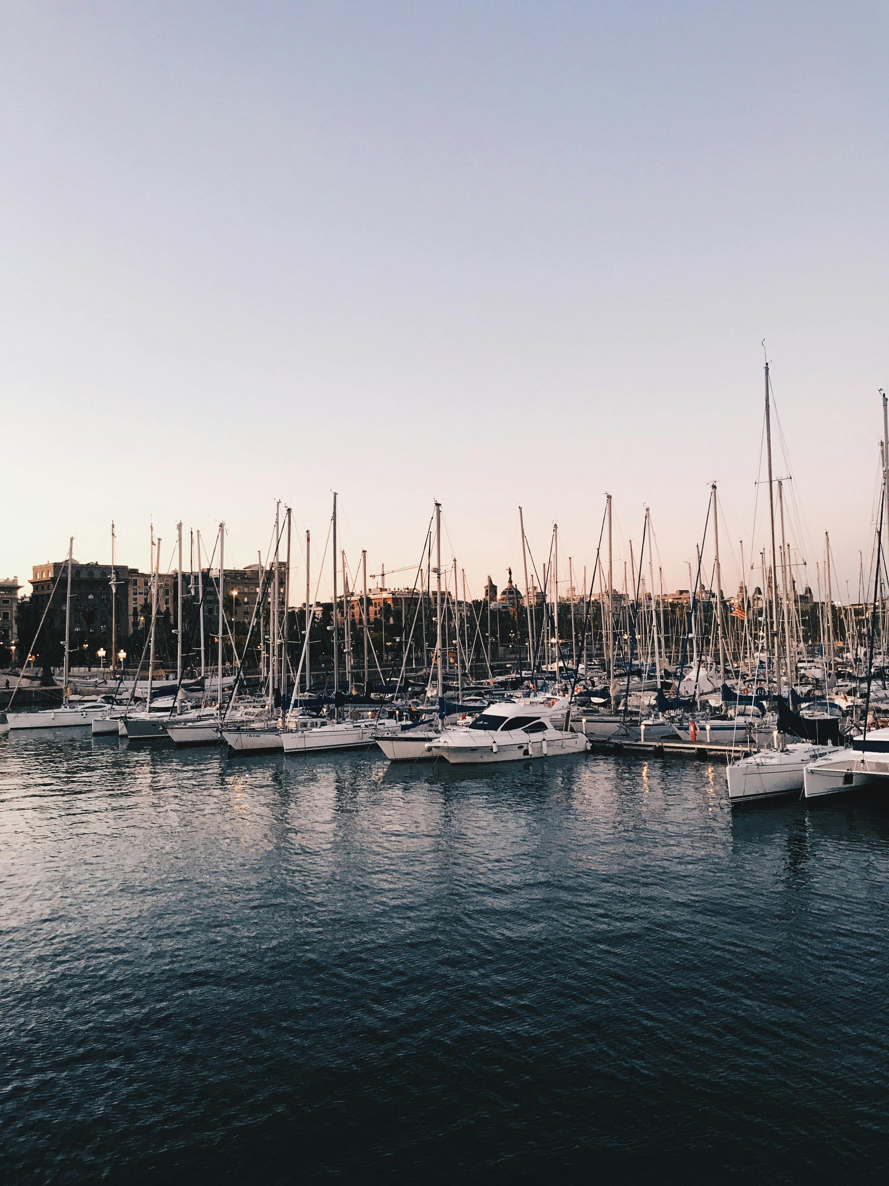 watercrafts docked at the marina