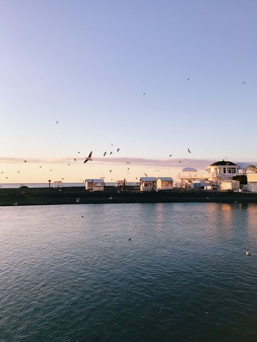 Free Capture the tranquil beauty of Sochi's waterfront at dusk with seabirds soaring through the serene sky. Stock Photo
