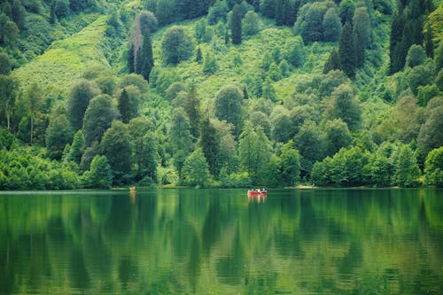 ağaçlar, dağ, deniz aracı içeren Ücretsiz stok fotoğraf