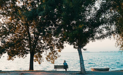 Person Sitting on a Bench Looking at the Sea Harbor