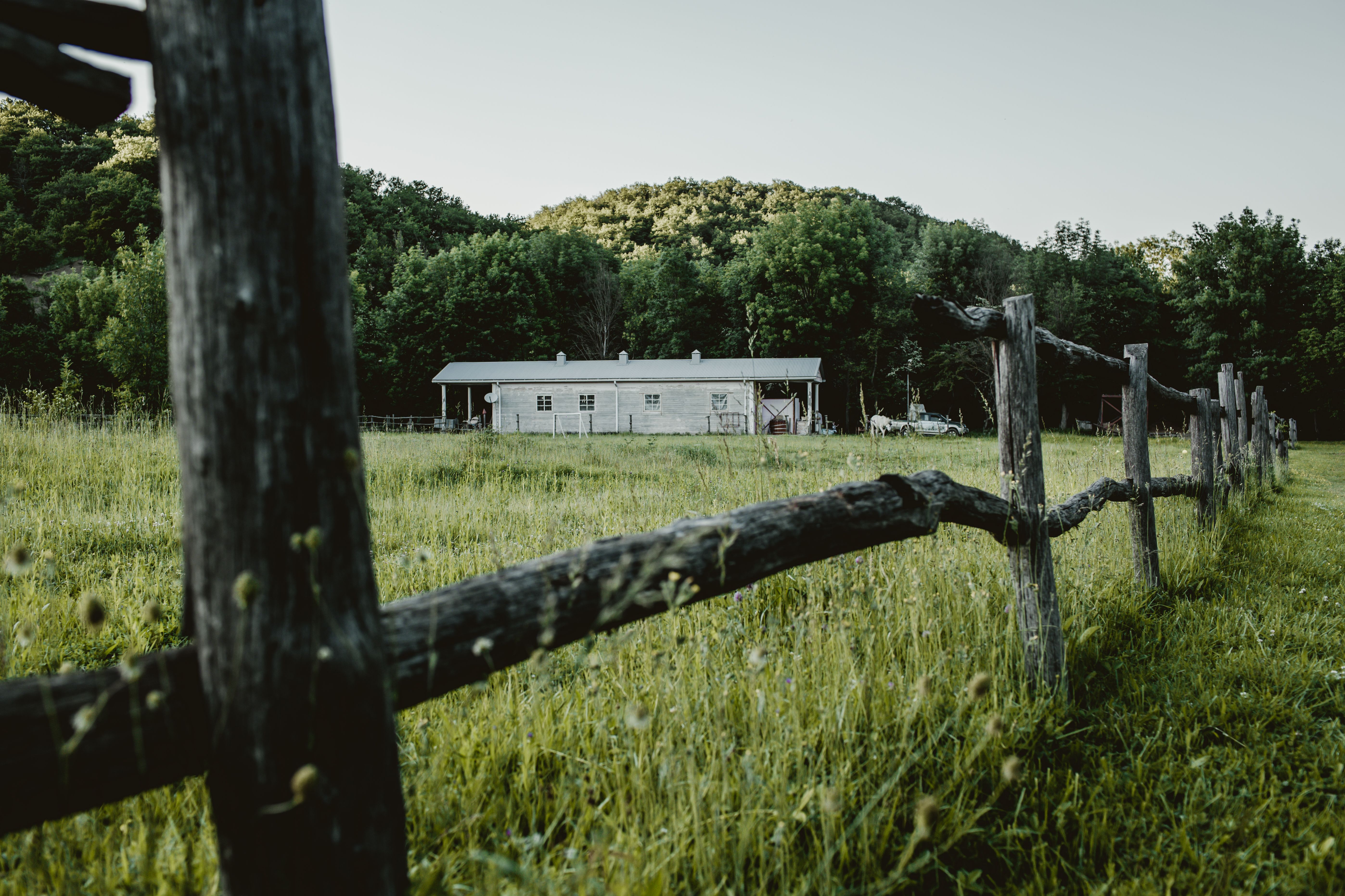 Charming farmhouse with a rustic fence amidst lush greenery, evoking rural tranquility.
