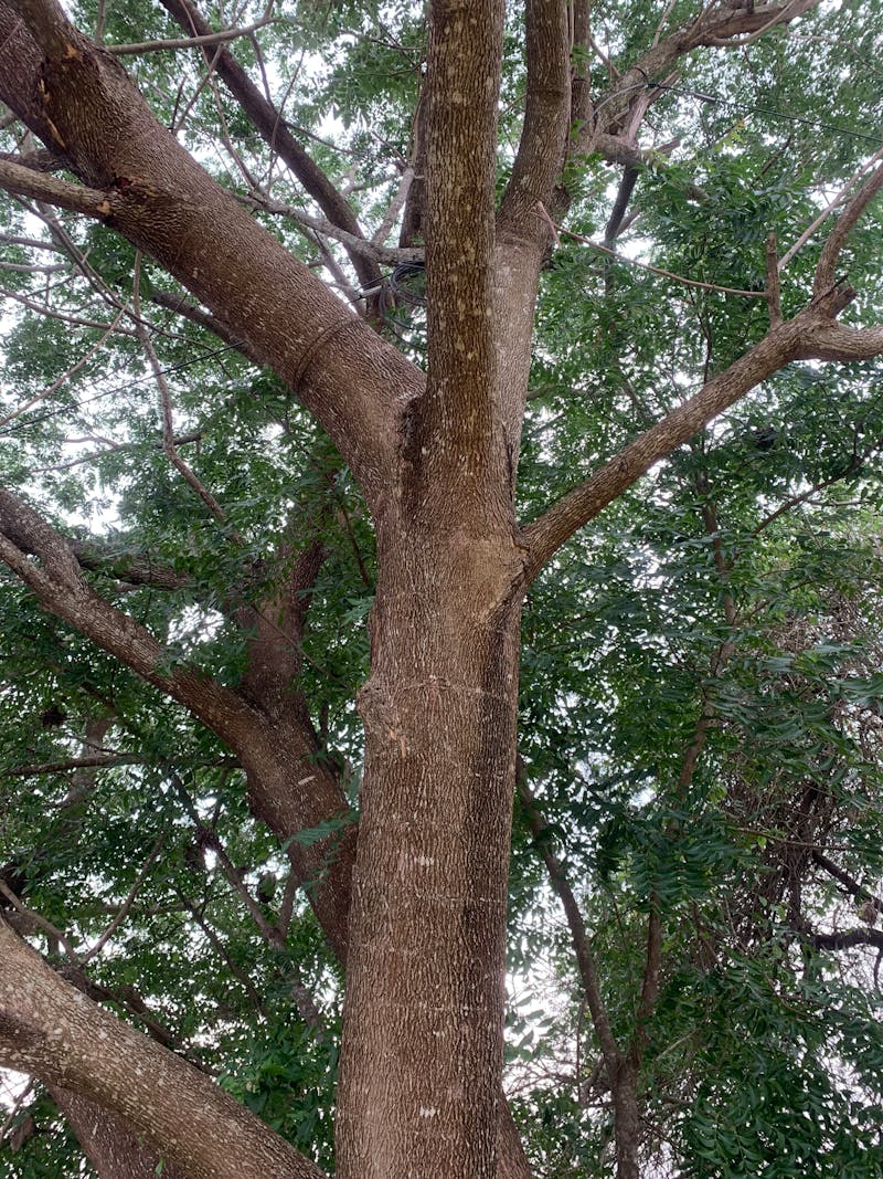 Professional Rack Mount Case