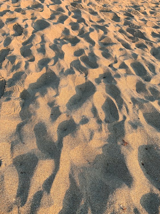 A Sand with Shadows on the Beach