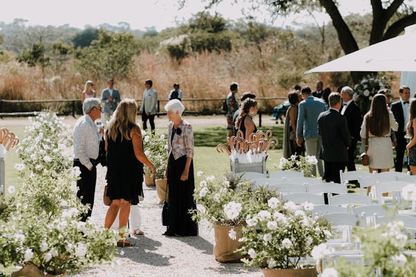 Traditional shamisen instrument