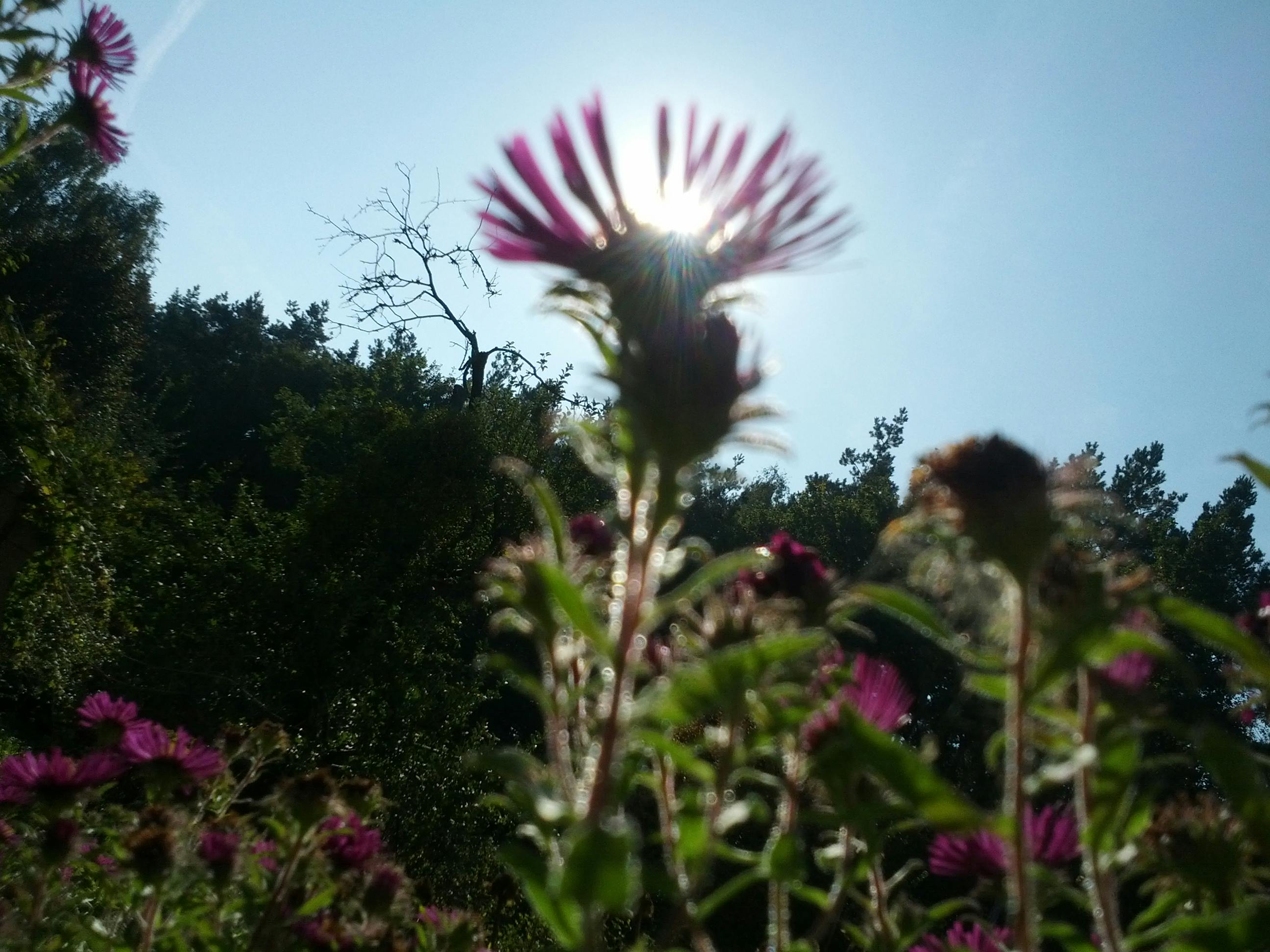 珠三角求职市场趋势