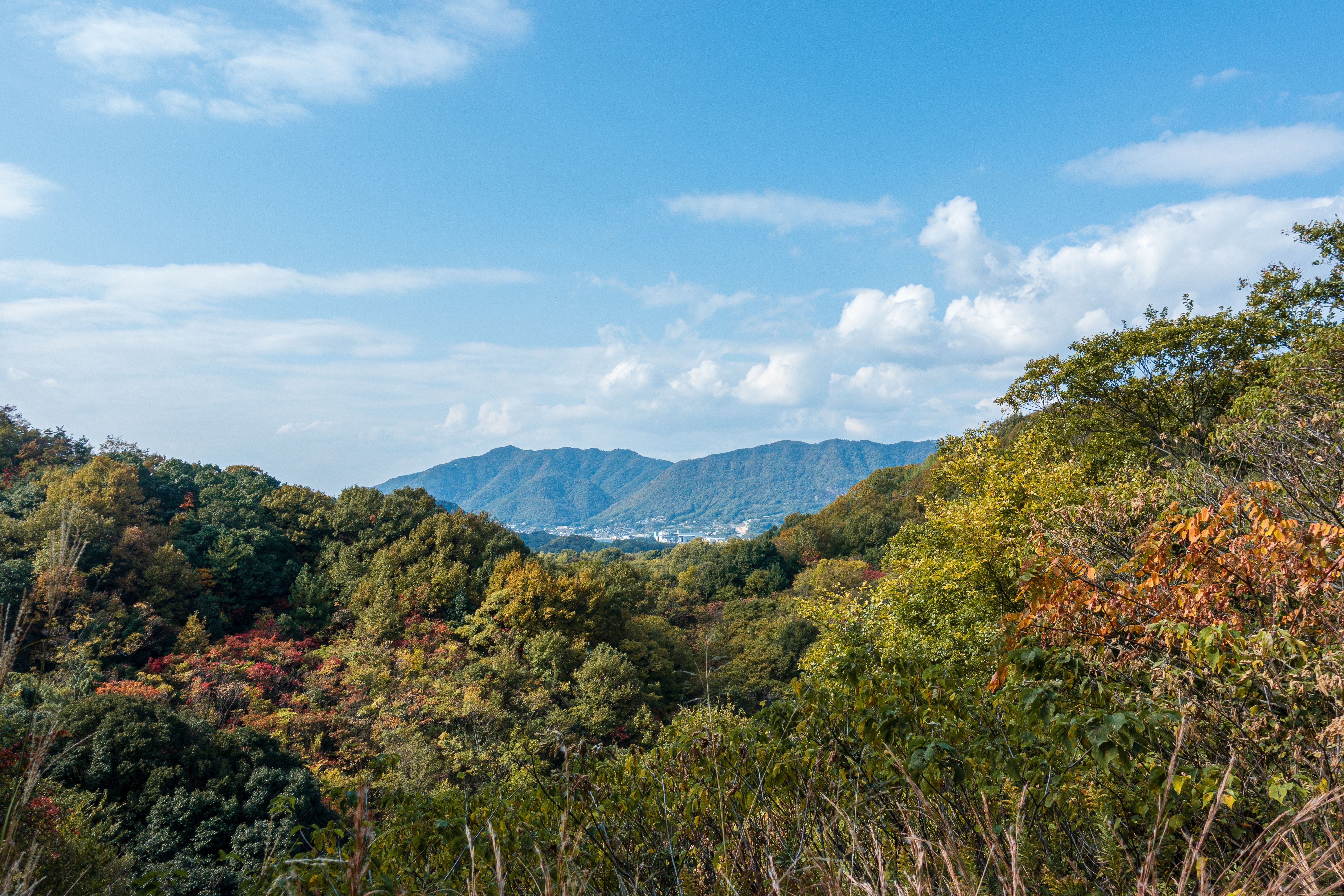 인왕산 등산코스 주차
