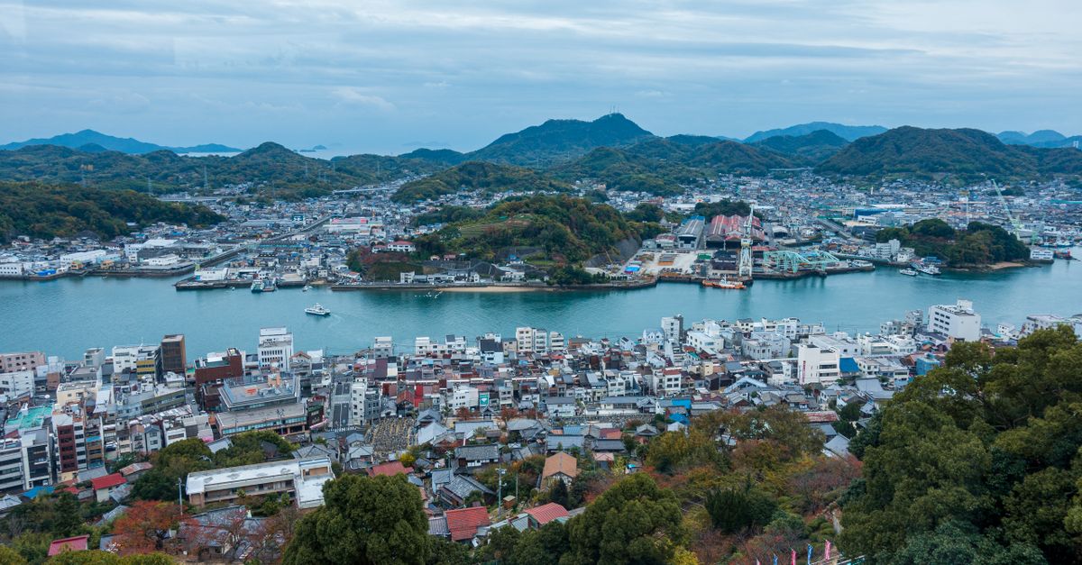 靜岡縣島田市蓬萊橋觀光名所介紹與當地特色 靜岡縣島田市蓬萊橋觀光名所介紹與當地特色