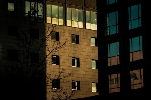 Windows of a Concrete Building