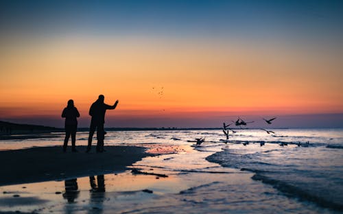 Gratis lagerfoto af aften, aftensmad, appelsin