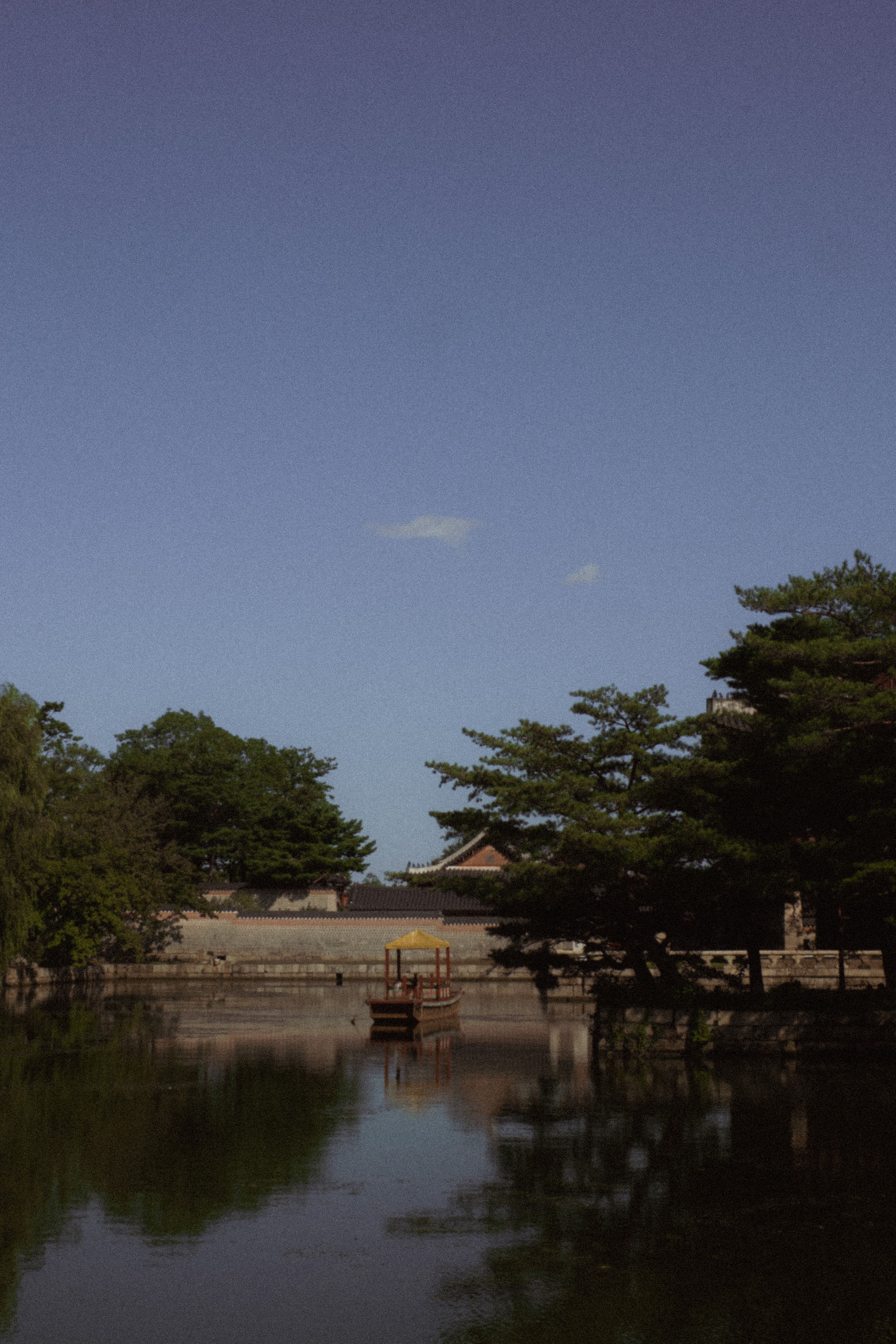 A Green Trees Near the Body of Water Under the Blue Sky · Free Stock Photo