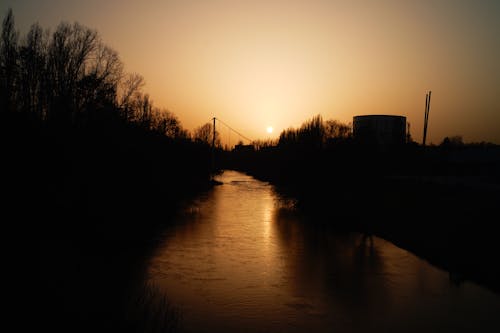 Silhouette of Trees Beside the River during Sunset