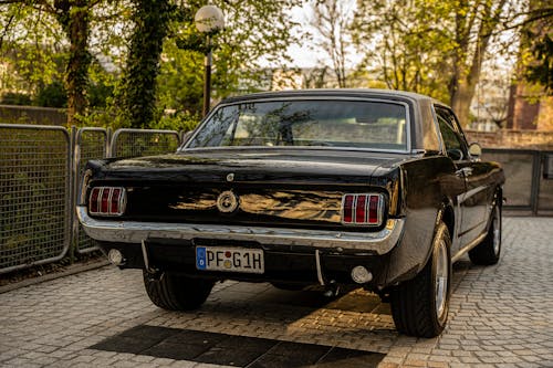 Black Ford Mustang Parked Near the Trees 