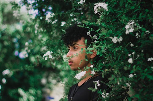 Free Photo of Man Leaning on Hedge Stock Photo