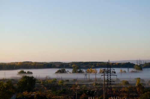 Free Scenic view of a misty autumn landscape with power lines and trees at sunrise. Stock Photo