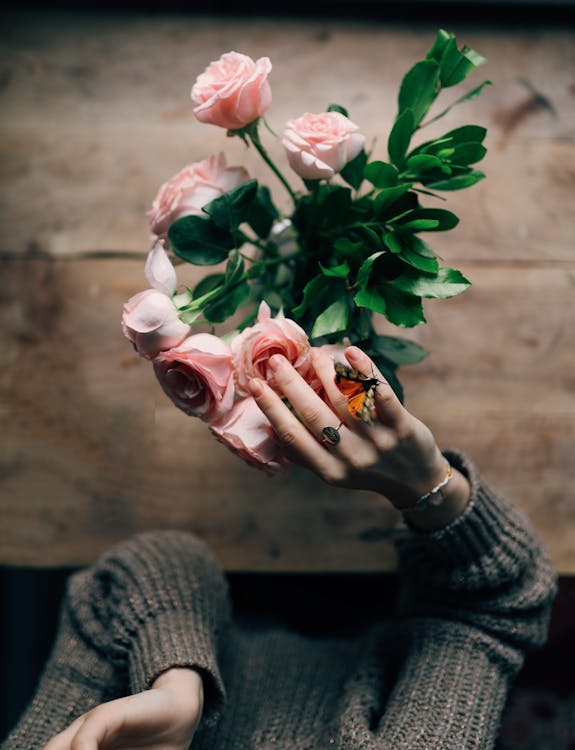 Free A Person Touching Pink Roses with a Butterfly on the Hand Stock Photo
