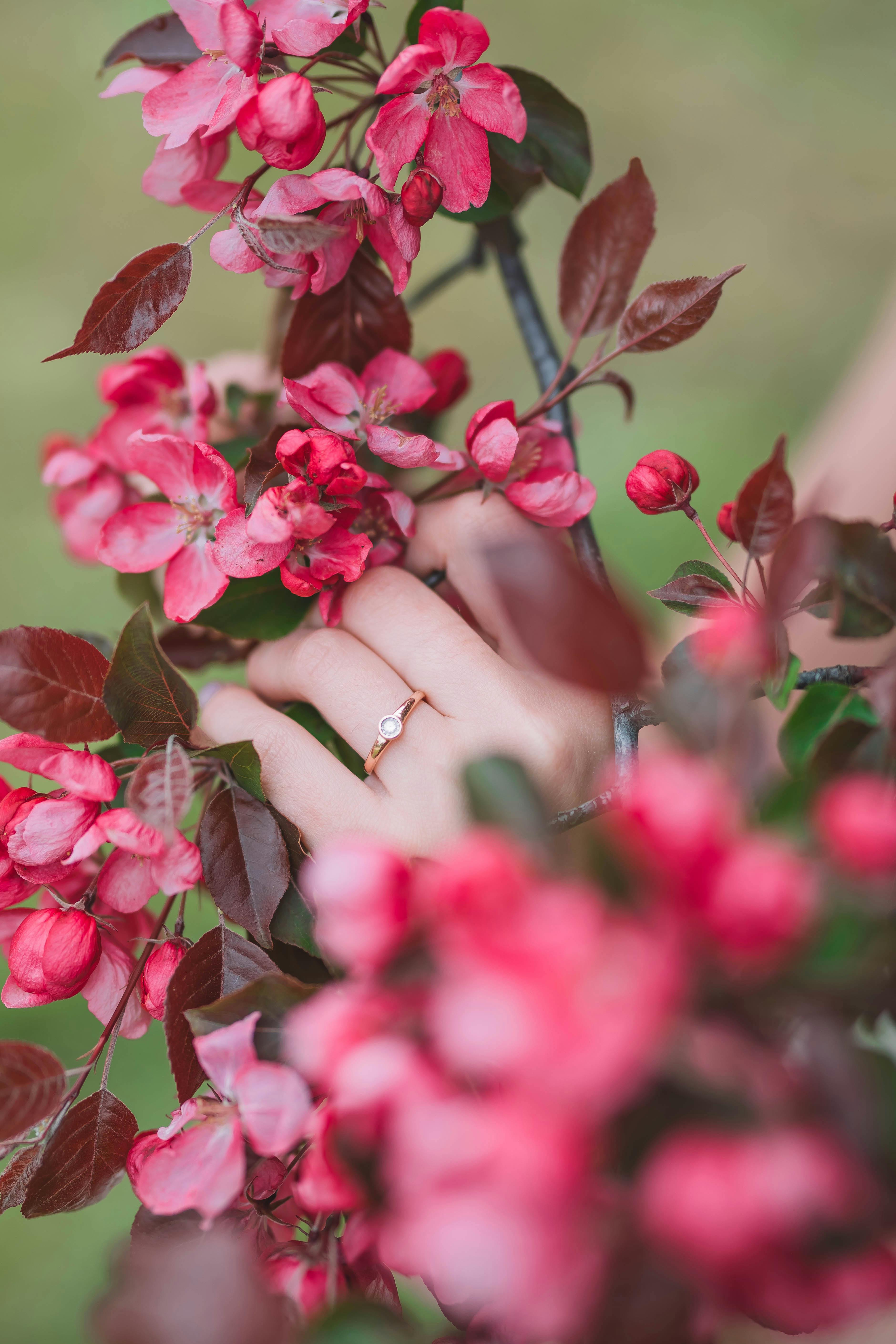 Photo by Valeria Boltneva