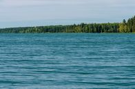 Green Trees Beside Blue Sea Under White Sky