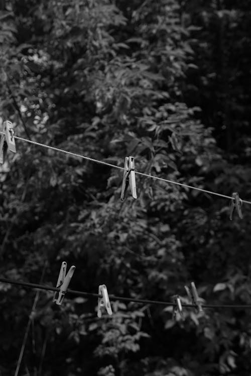 A Grayscale of a Clothesline with Clothespins