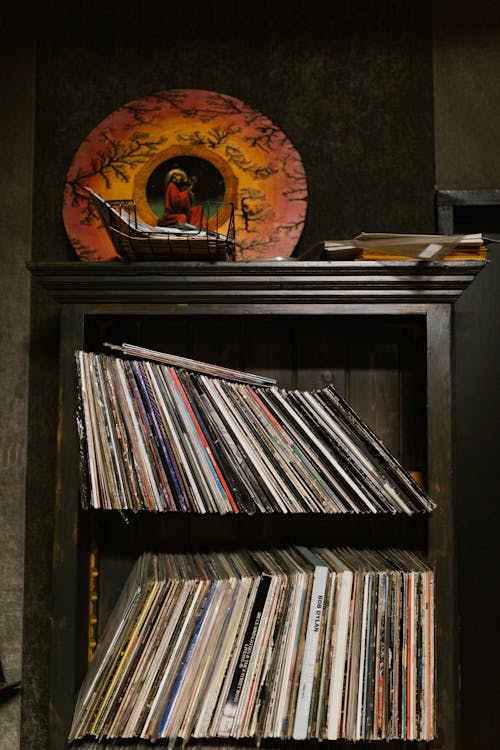 Vinyl Records on Shelves
