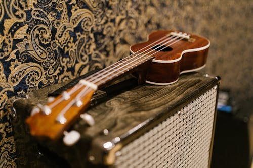 Free Ảnh lưu trữ miễn phí về cận cảnh, đàn ghi ta, đàn ukulele Stock Photo
