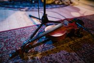 Brown Violin on Brown and White Floral Area Rug