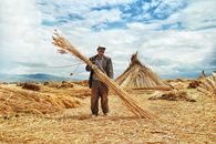 Man in Brown Long Sleeve Shirt and Brown Pants Holding Brown Stick