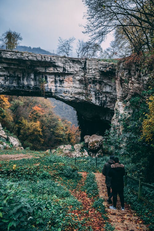 Two Person Walking on Forest