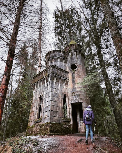 Photos gratuites de arbres, bois, château