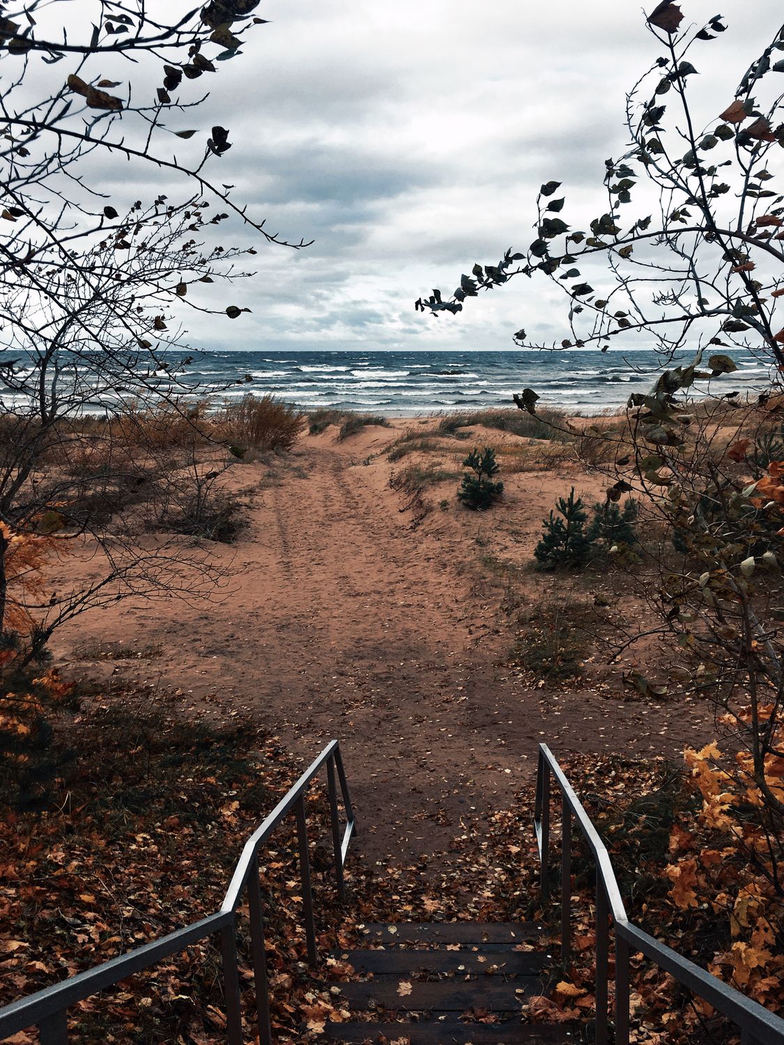 Pathway Leading to the Sea · Free Stock Photo