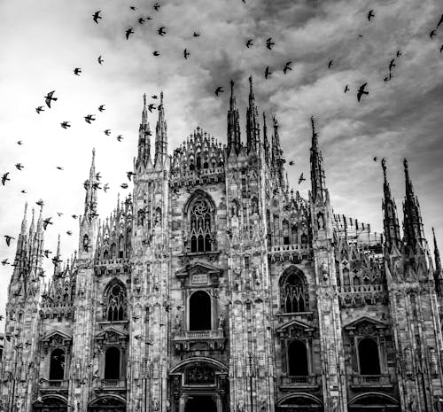 Monocromatico Foto Del Duomo Di Milano