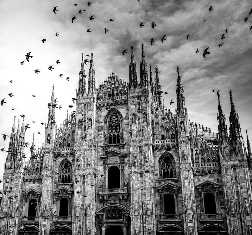 Moncohrome Zdjęcie Duomo Di Milano