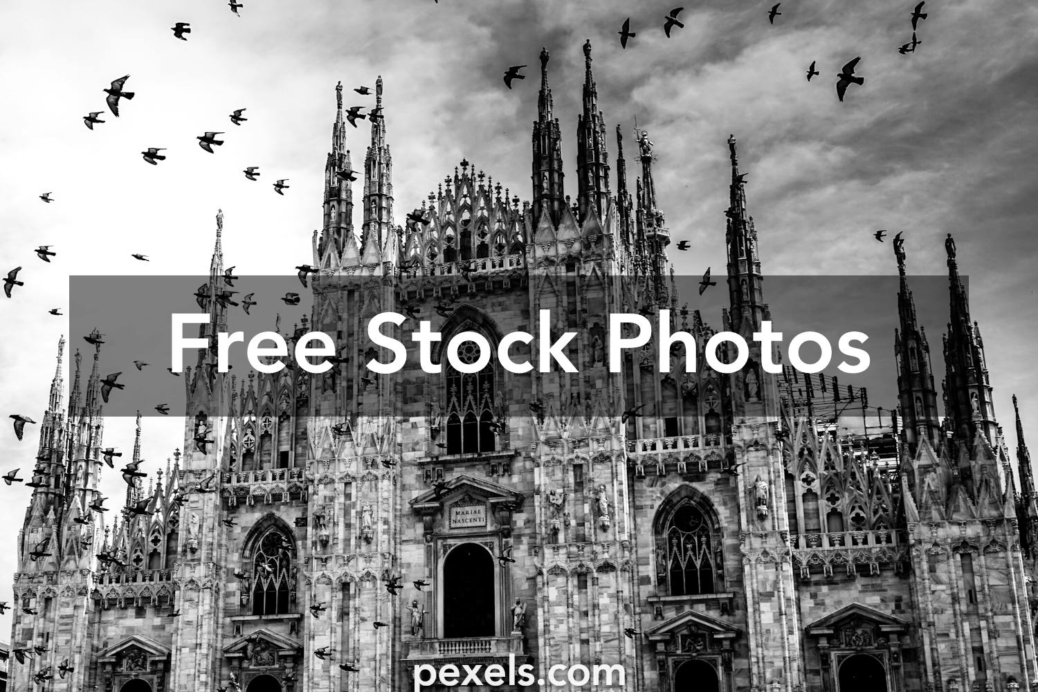 250 Engaging Gothic Photos Pexels Free Stock Photos Images, Photos, Reviews
