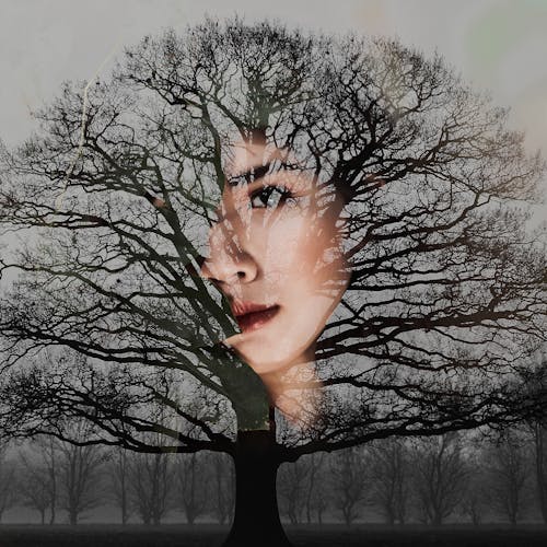 Лицо женщины с голым деревом