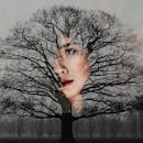 在冬季风景中，通过双重曝光将女性的脸与一棵光秃秃的树创意地融合在一起